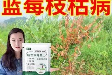 平安树枝枯病的治疗方法（有效预防和治疗平安树枝枯病的关键措施）