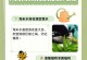 热水浇花根的影响（探索热水浇花根的效果及注意事项）
