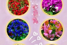 三角梅花语的含义（探寻三角梅的花色和花语）