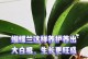 蝴蝶兰叶子发白的原因及应对方法（解析蝴蝶兰叶片变白的可能原因，提供有效的处理措施）