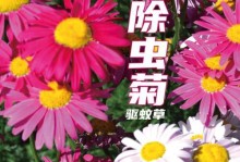 草地生长之谜（揭秘草地生长的神秘过程及关键因素）