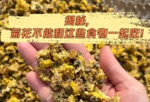 家里不能养菊花的原因（了解菊花的特点和需求，明白菊花养护的困难）