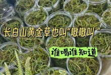黄金菊的功效与作用（探索黄金菊的保健之路）