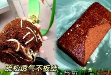 如何让花土更具营养——探索植物生长的关键（培育富含营养的土壤，让花儿茁壮成长）