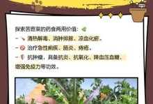苦麻菜的最佳播种时间（掌握播种时间，收获满满果实）