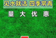 三叶草修剪技巧大揭秘（掌握三叶草修剪技巧，打造美丽庭院）