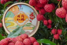 荔枝种植与管理（掌握种植技巧打造高效管理）