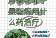 月季花生病的治疗方法及防治（掌握正确的月季花生病治疗策略，保护花园中的珍贵月季植物）