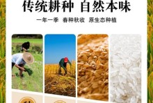 稻谷种子的来源（探究稻谷种子的繁殖和获得方式）