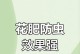 花卉病虫害防治技术与方法措施（从根源上保护花卉健康）