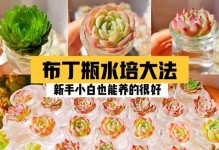 土培多肉的技巧与方法（打造健康多肉植物的秘诀）