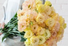 洋桔梗小菊花插花技巧与注意事项（如何正确插搭洋桔梗小菊花，打造别样的花艺作品）