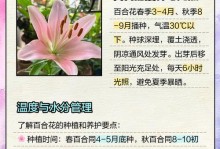 百合种植方法与技巧（从选种到繁殖，轻松掌握百合的种植要点）