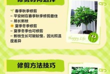 如何养护以平安树有黄叶问题（掌握关键养护技巧，让平安树焕发生机）
