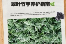 北方冬天竹芋的养护指南（打造温暖舒适的竹芋家园，让寒冷的冬天变得温暖宜人）