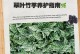 北方冬天竹芋的养护指南（打造温暖舒适的竹芋家园，让寒冷的冬天变得温暖宜人）
