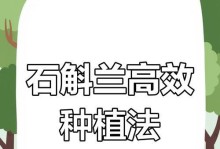 以石触兰的种植技巧与注意事项（如何成功种植以石触兰，打造迷人的花园景观）