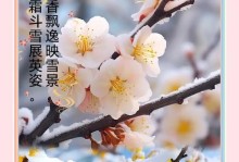 北方冬天地栽腊梅的养殖方法（腊梅地栽养殖关键步骤及注意事项）
