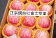 红富士苹果上市时间分析（红富士苹果成熟期、上市区域和销售情况分析）