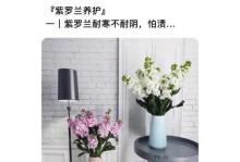 如何成功播种紫罗兰的种子（从种子到绽放，打造属于你的紫罗兰花园）