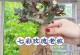 玫瑰花如何成功换盆栽（玫瑰花换盆栽的步骤和技巧）