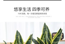 金边的逐渐消失（遗憾与反思——金边失去的原因及对策探讨）
