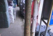 发财树裂开了怎么办？（教你有效应对发财树裂开的突发情况）