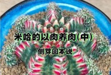 多肉侧芽处理的技巧与方法（培养多肉植物的新生力量，让侧芽成长茁壮）