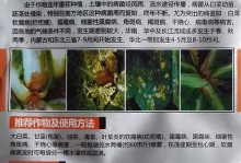 长寿花霜（探秘长寿花霜的神奇疗效及应用领域）