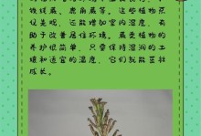 如何正确养护花卉蕨？（打造美丽花园的不二选择）
