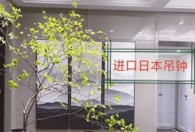 水培吊钟树的叶子如何长出来