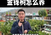 金钱竹叶子发黄的原因及解决方法（金钱竹叶子发黄的关键问题和科学养护方法）