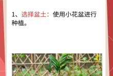 石斛兰的养殖方法及注意事项（打造绿色家居的理想选择，关注石斛兰）