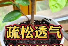 如何合理调制养花土，让花儿健康成长（掌握合适的土壤配方，养出美丽花园）