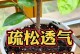 如何合理调制养花土，让花儿健康成长（掌握合适的土壤配方，养出美丽花园）
