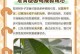 发财树叶发黄的原因及解决方法（如何保持发财树绿叶茂盛的秘诀）