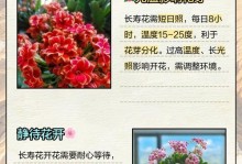 应对花木生长过高的措施（如何解决花木生长过高的问题）
