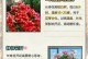 应对花木生长过高的措施（如何解决花木生长过高的问题）
