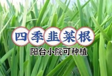 韭菜种植（科学种植，丰收无忧）