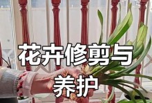 以花早换盆方法，让花草茁壮成长（用正确的盆栽方法为花草提供健康生长环境）