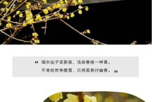 腊梅能否在冬天存活？（探究腊梅的适应性和养护方法）