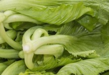 了解芥菜——一种既健康又美味的蔬菜（探究芥菜的分类、食用方法及营养价值）