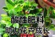 植物施肥的重要性与方法（为您解答植物施肥的疑惑）