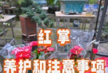 红掌叶子上出现斑点怎么办？（红掌叶子斑点的原因及处理方法）