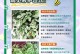 冬季幸福树的护理指南（让你的幸福树在寒冷冬季依旧充满生机）