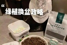 换盆后叶子变小，如何应对？（解决植物换盆后叶子变小的问题）
