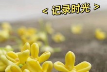解读桂花花语（从传统文化到现代意义）