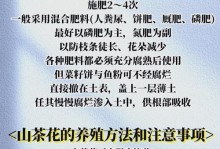 北方茶花养殖方法和注意事项（打造北方茶花花海，关键是养殖技巧！）