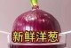 洋葱盆栽（打造美丽盆栽的秘诀与技巧）