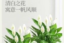 白掌花变绿了，该如何处理？（保护植物的生长状态及恢复方法）